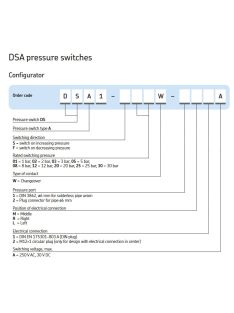 SKF DSA1-S25W-1L1A