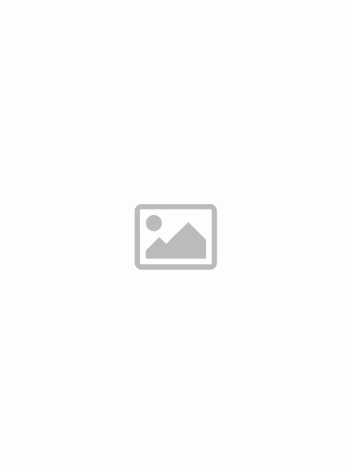 SKF UC.1010.100